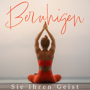 Meditiere im Nachtwald
