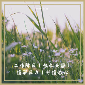 程序员专属幽静高雅纯音乐