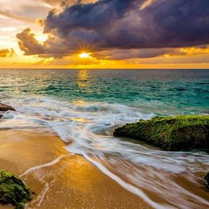 我热爱着世间的一切包括你