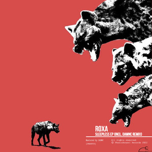 Night Animals (Original Mix)