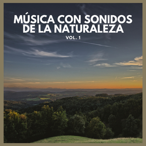 Consciencia (Con Sonidos de Lluvia)