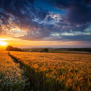 Lofi Calmante Para La Serenidad Nocturna