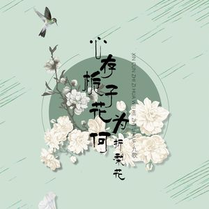 心存栀子花为何折梨花