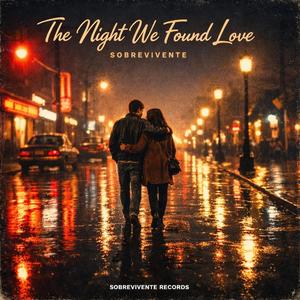 THE NIGHT WE FOUND LOVE