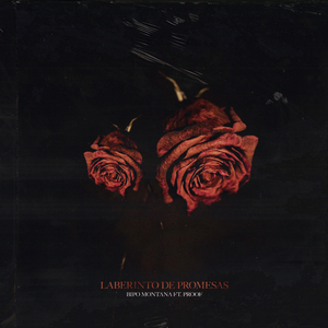 Laberinto de Promesas