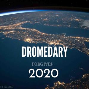 Forgives (Dromedary)