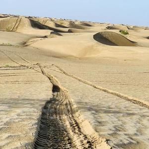 认识你是我最大的幸运.wav