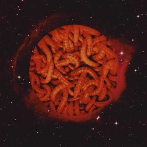 The Pus of Your Festering Carcasses