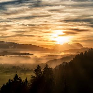 The Other Side Of Paradise 钢琴