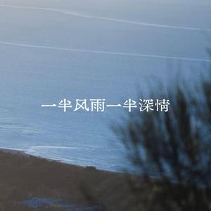 一半风雨一半情深