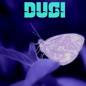 Dusi