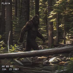 Big foot