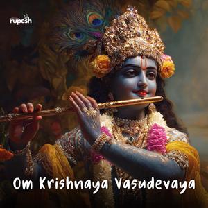 Om Krishnaya Vasudevaya