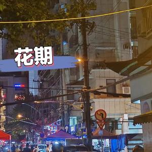 花期（prod by Lion_Z狮子）