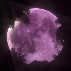 中国新说唱-经济舱Live(带副歌)（梦若星辰 remix）