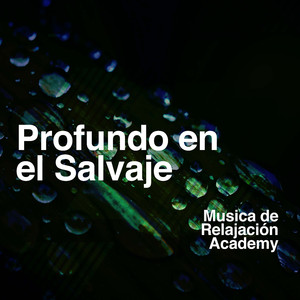 Warm Jungle Evenings