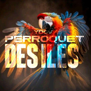 Perroquet des îles