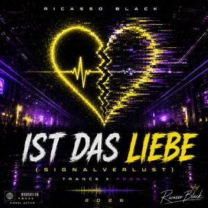 IST DAS LIEBE (SIGNALVERLUST)