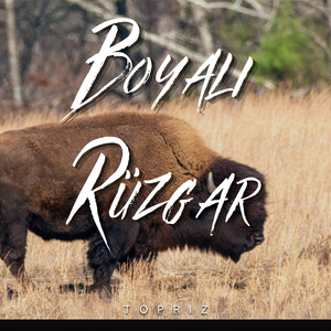 Boyalı Rüzgar