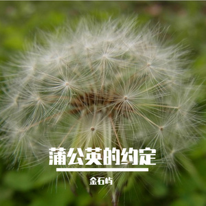 蒲公英的约定