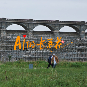 AI的长春花.mp3