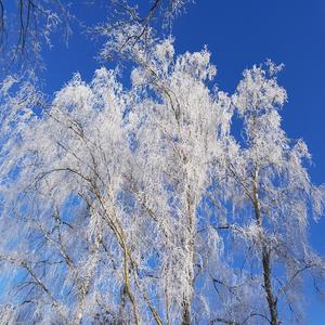 You And Me (MP Project 1967)