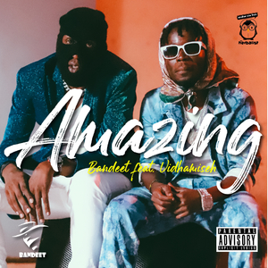 Amazing (feat. Vidha Miseh)