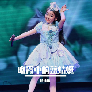 晚霞中的蓝蜻蜓