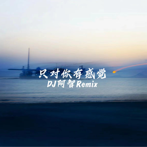 只对你有感觉（DJ阿智版）