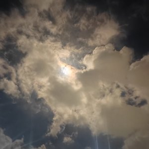 故土