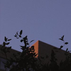 夏天的风(无和声版)