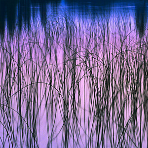 红娘小姐你多风采管波