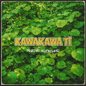 Kawakawa Tī