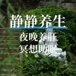 夜晚养肝冥想助眠（纯音乐）