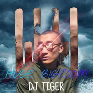 杨烁-两只老虎（DJ Tiger remix）