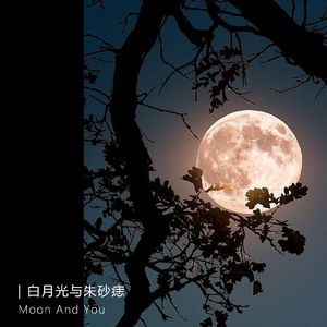 白月光与朱砂痣