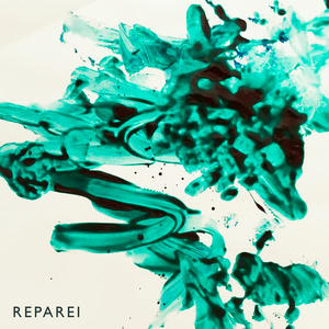 Reparei (Versão 40tena)