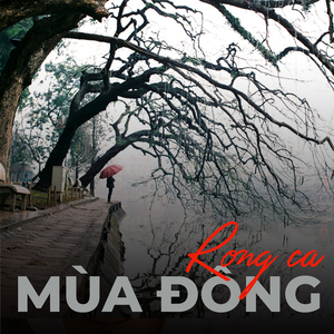 Mùa đông mới