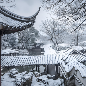 无情画(Cover:王唯旖)