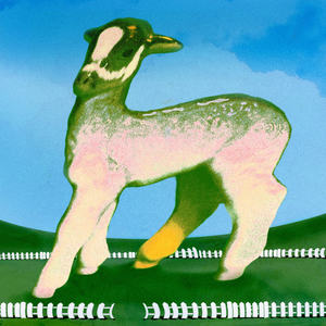 Ángeles y mariposas