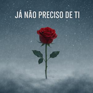 Já Não Preciso De Ti