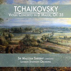 Violin Concerto in D Major, Op. 35: I. Allegro moderato