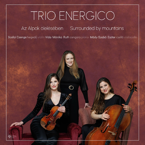 Trio Rhapsody, Op. 11: II. Improvisata. Allegro Ma Non Troppo