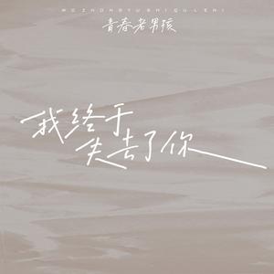 我终于失去了你 (在拥挤的人群中 伴奏)