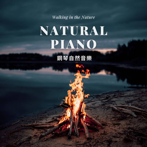 萧邦 升C小调夜曲 柴火声