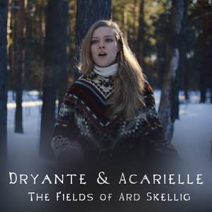 The Fields of Ard Skellig