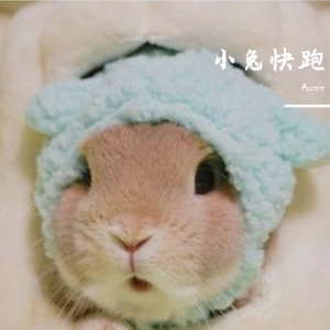 小兔快跑