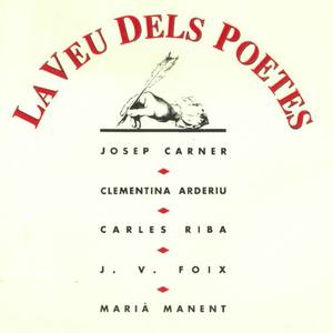 Sentint Per Primera Vegada L'Olor dels Til·lers Florits