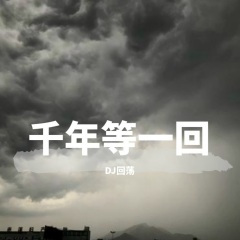 我们不再说话了 (DJ版)