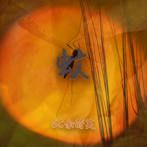 蚊（真的有蚊）